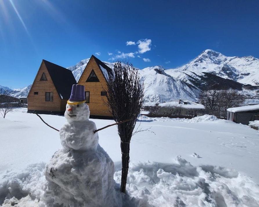 Villa Via Kazbegi Exterior foto